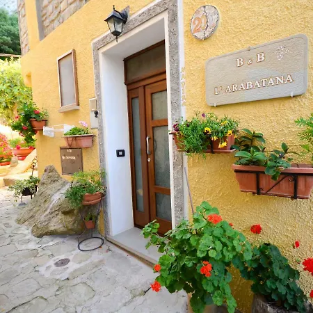 לינה וארוחת בוקר L'arabatana 4*