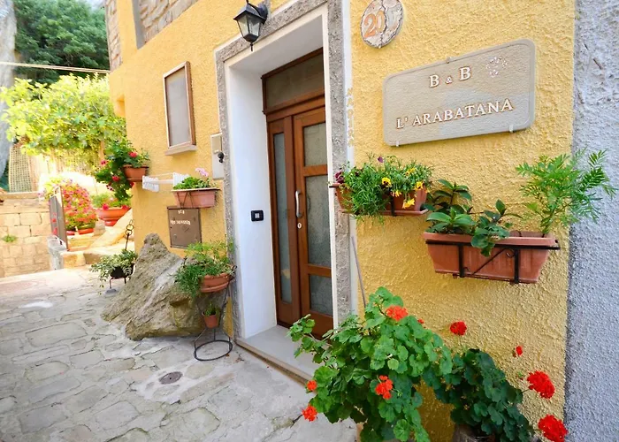 Bed & Breakfast L'arabatana 4*